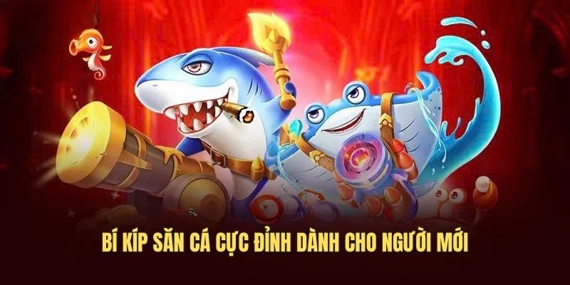 Bí kíp săn cá cực đỉnh dành cho người mới