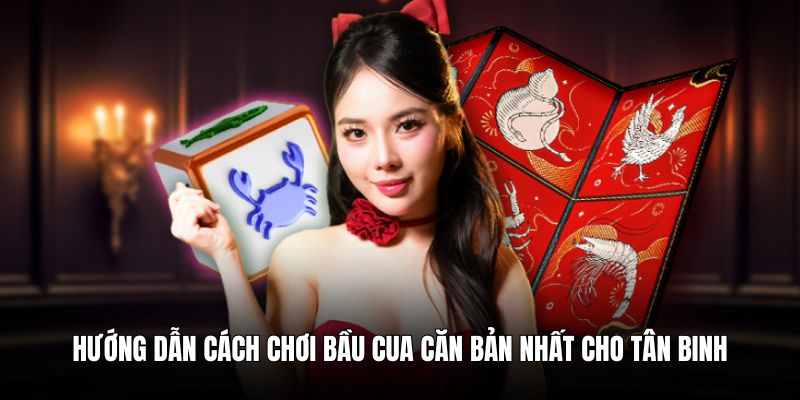 Hướng dẫn cách chơi bầu cua căn bản nhất cho tân binh