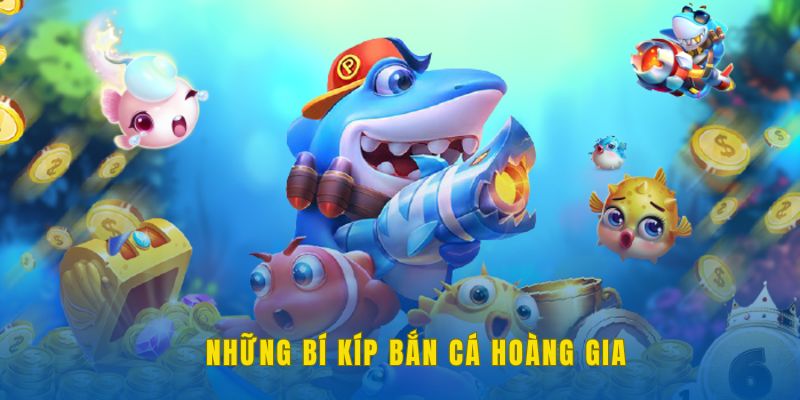 Những bí kíp săn cá hoàng gia hiệu quả cho bạn