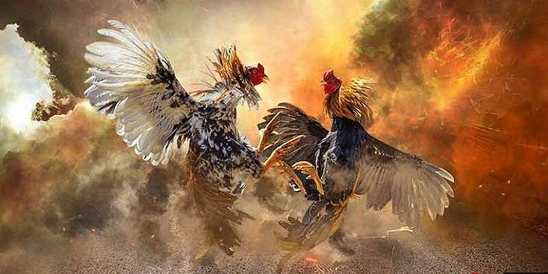 Live trực tiếp giải đấu full HD cùng hệ thống âm thanh chân thật