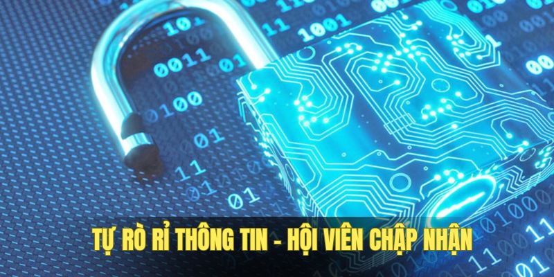 Nhà cái không liên quan khi hội viên lộ dữ liệu
