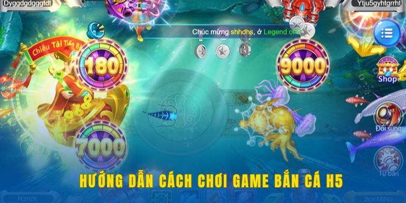 Hướng dẫn người mới cách săn cá H5